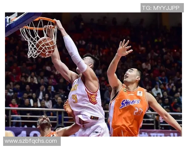 深圳篮球队在杯赛积分榜上以66分稳居第一名表现出色