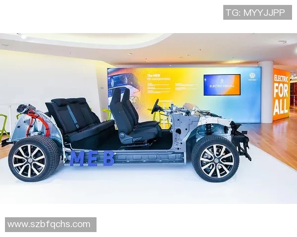 上海篮球队转型之路的挑战与机遇探索特别报道