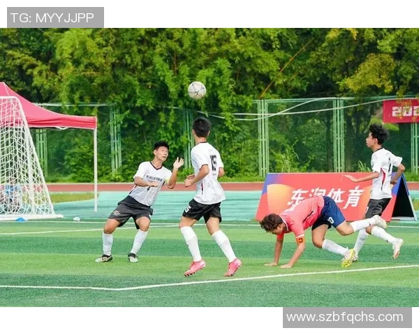 抢到足球明星亲笔签名足球的激动时刻与梦想成真的奇妙旅程 抢到足球明星亲笔签名足球的激动时刻与梦想成真的奇妙旅程